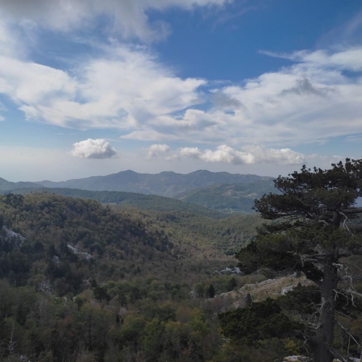 Montenegro Jeep Safari Mount Orjen Richness Of The Natural World - Typical panorama in the mount Orjen_ ange with thick forests