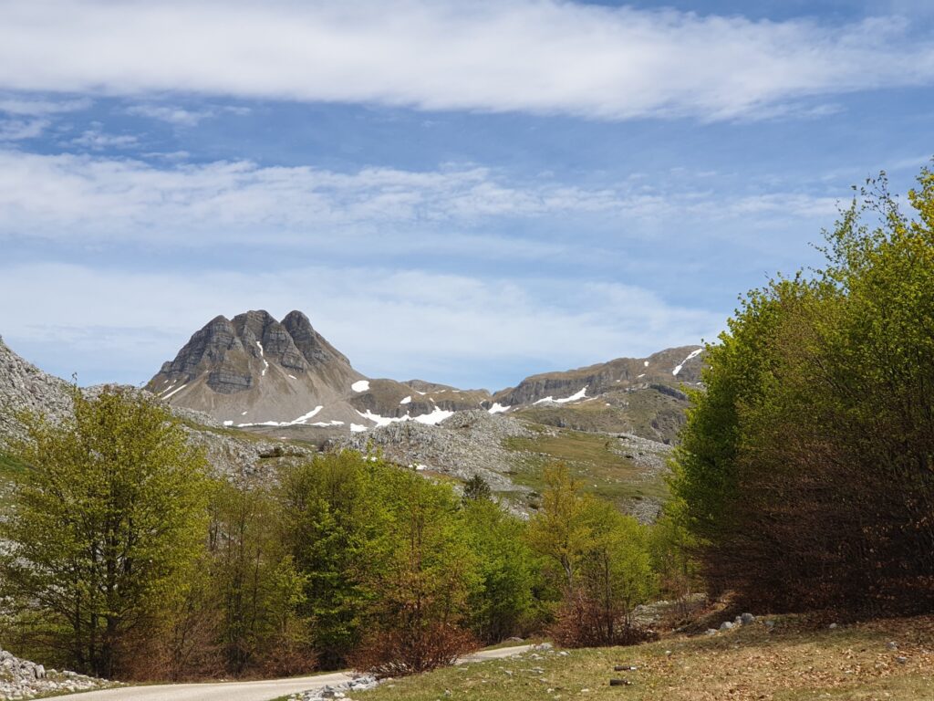 Durmitor 4x4 and Kapetanovo lake: view of Mali Žurim peak, and forest closer to the objective